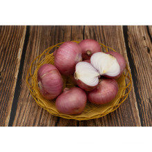 Best Selling Fresh Red Onion Purple Onion for Export Standard